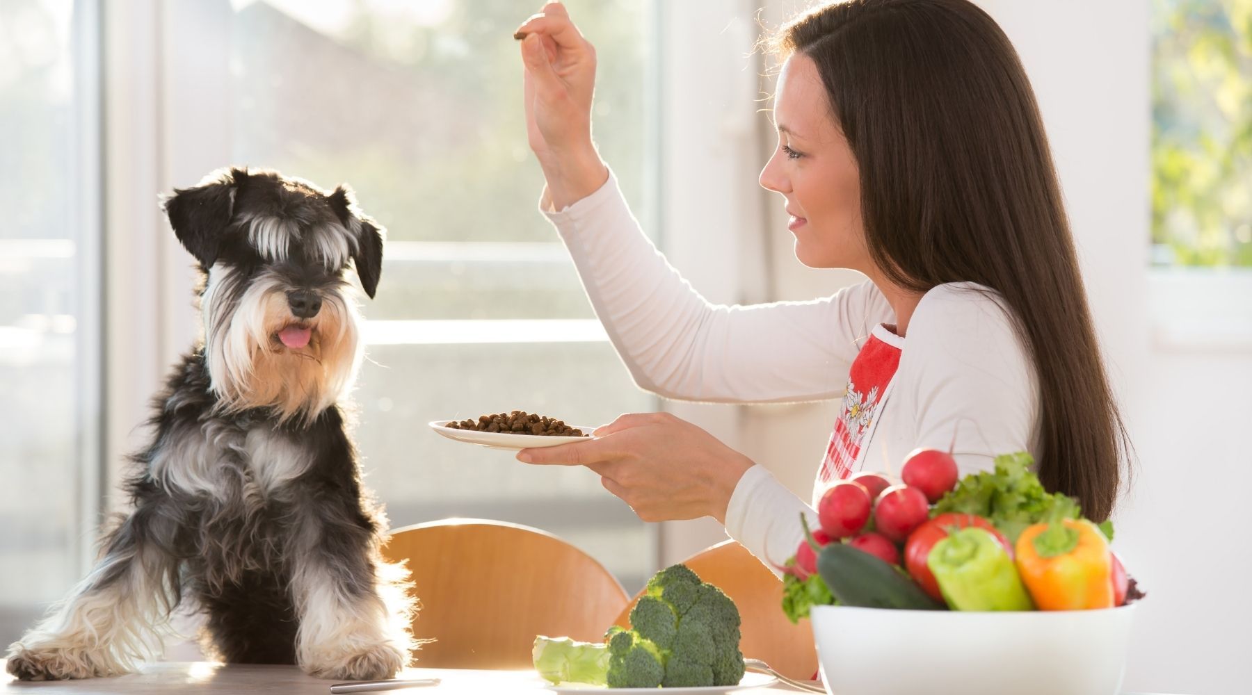 Can My Dog Be Vegetarian Like Me?