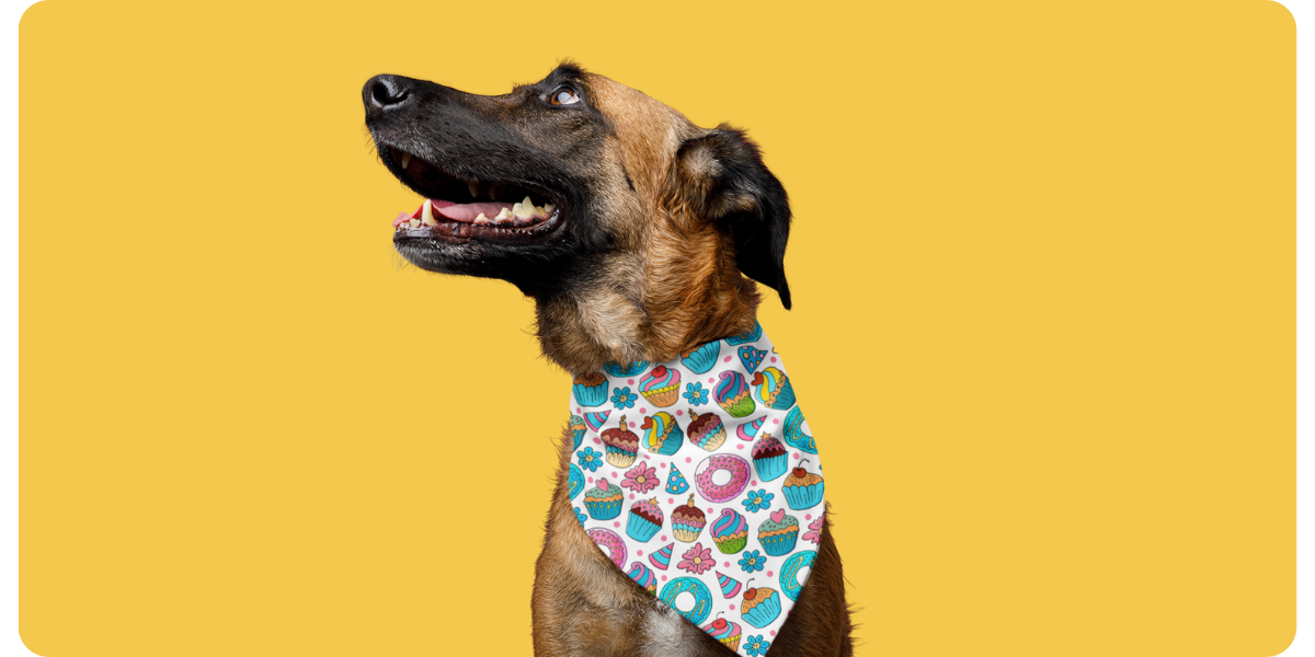 HOW TO CHOOSE A DOG BANDANA