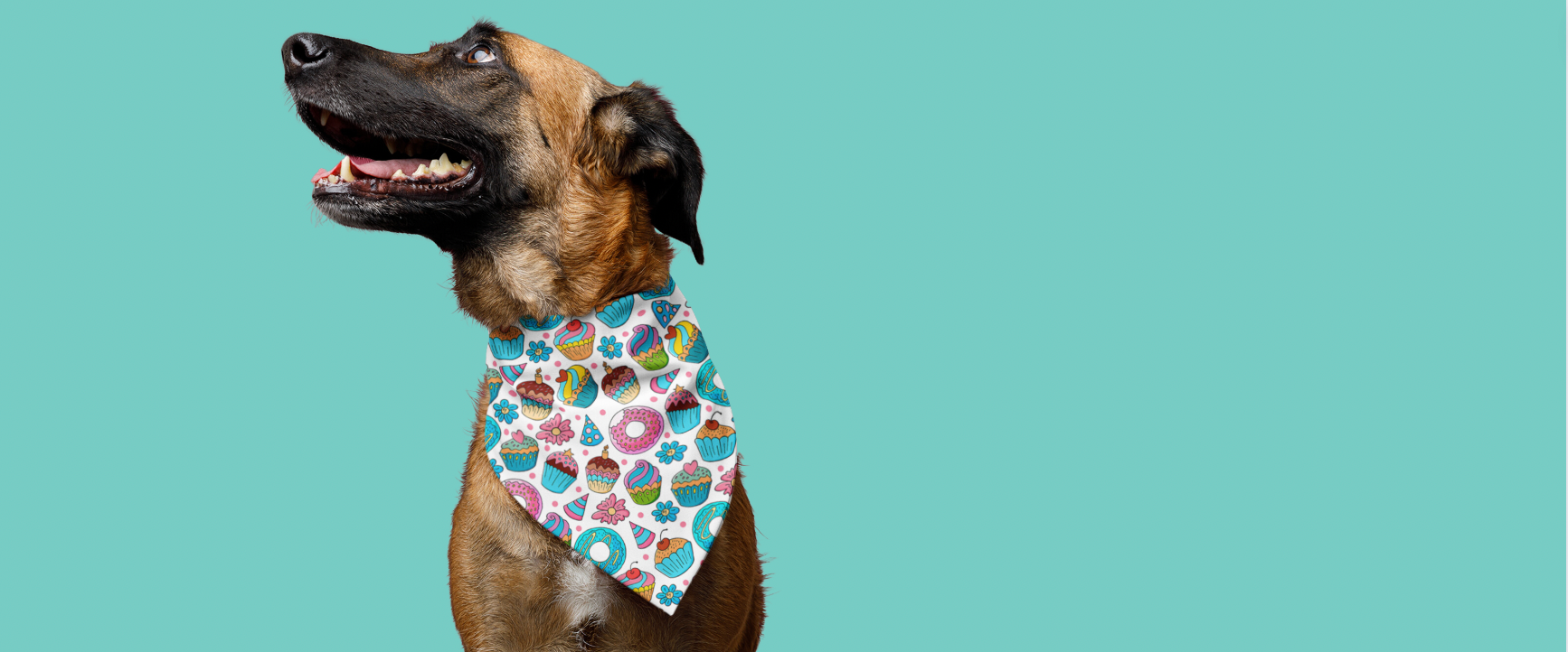 birthday dog bandana