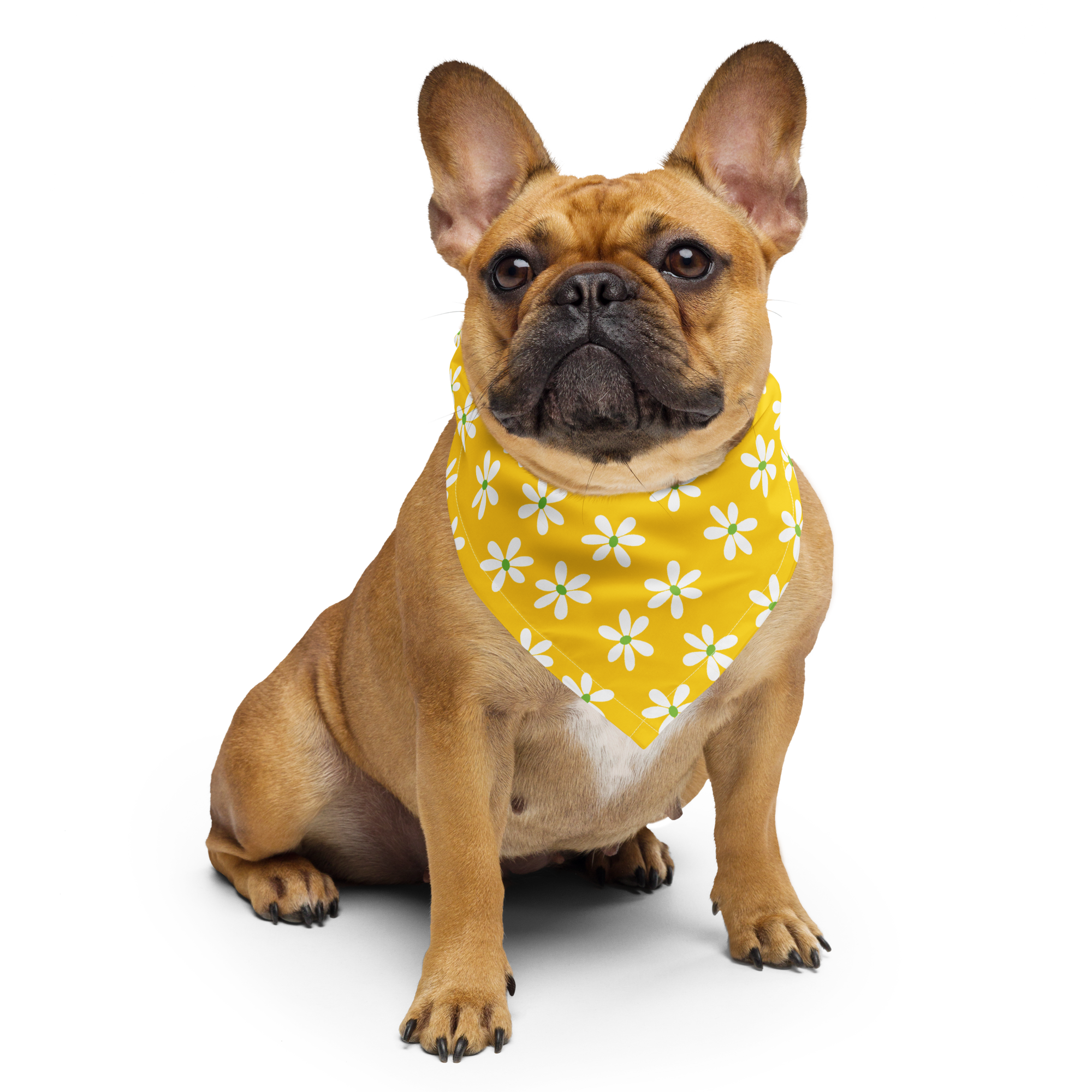 Dog Bandana - Yellow Daisy