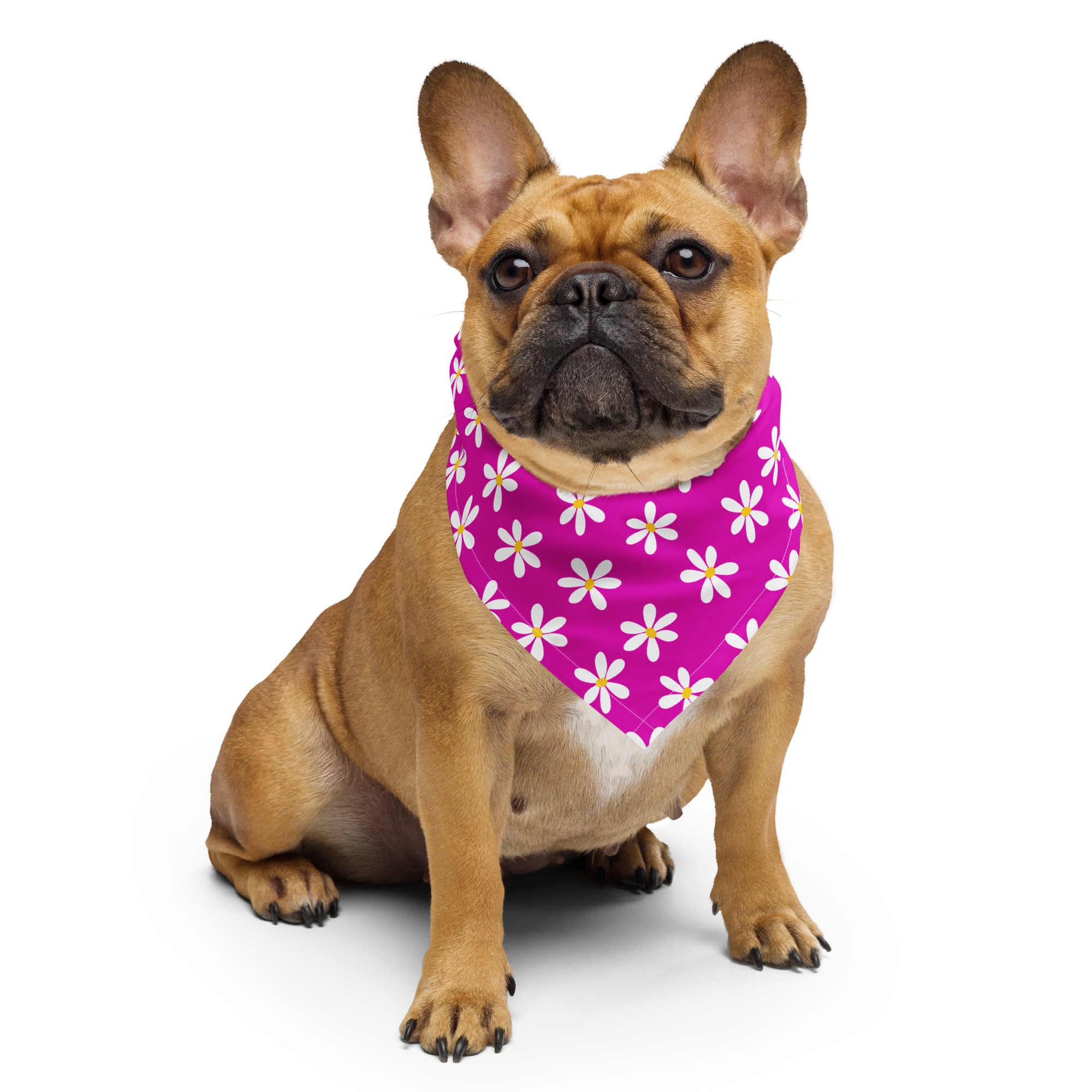 Dog Bandana - Violet Daisy