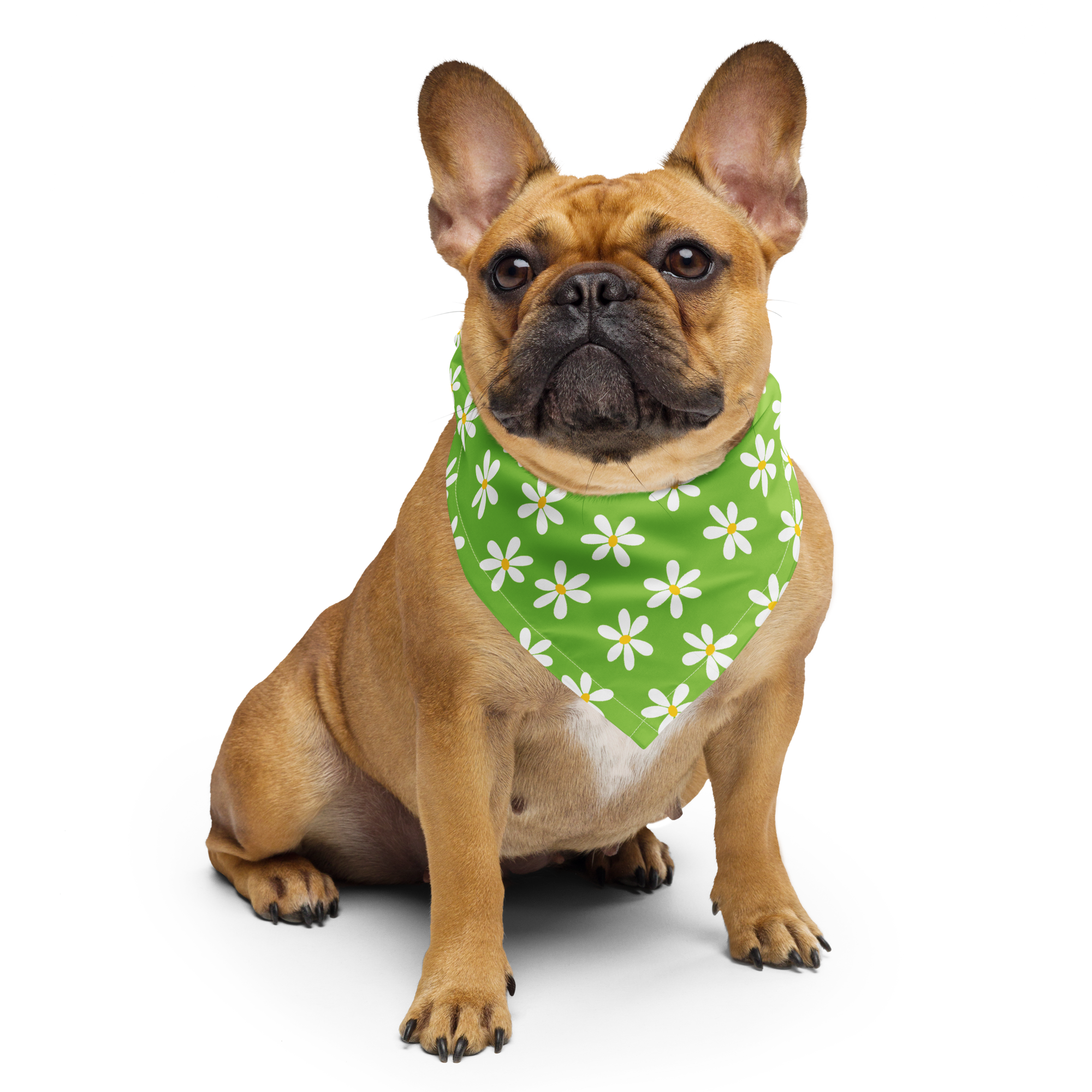 Dog Bandana - Green Daisy