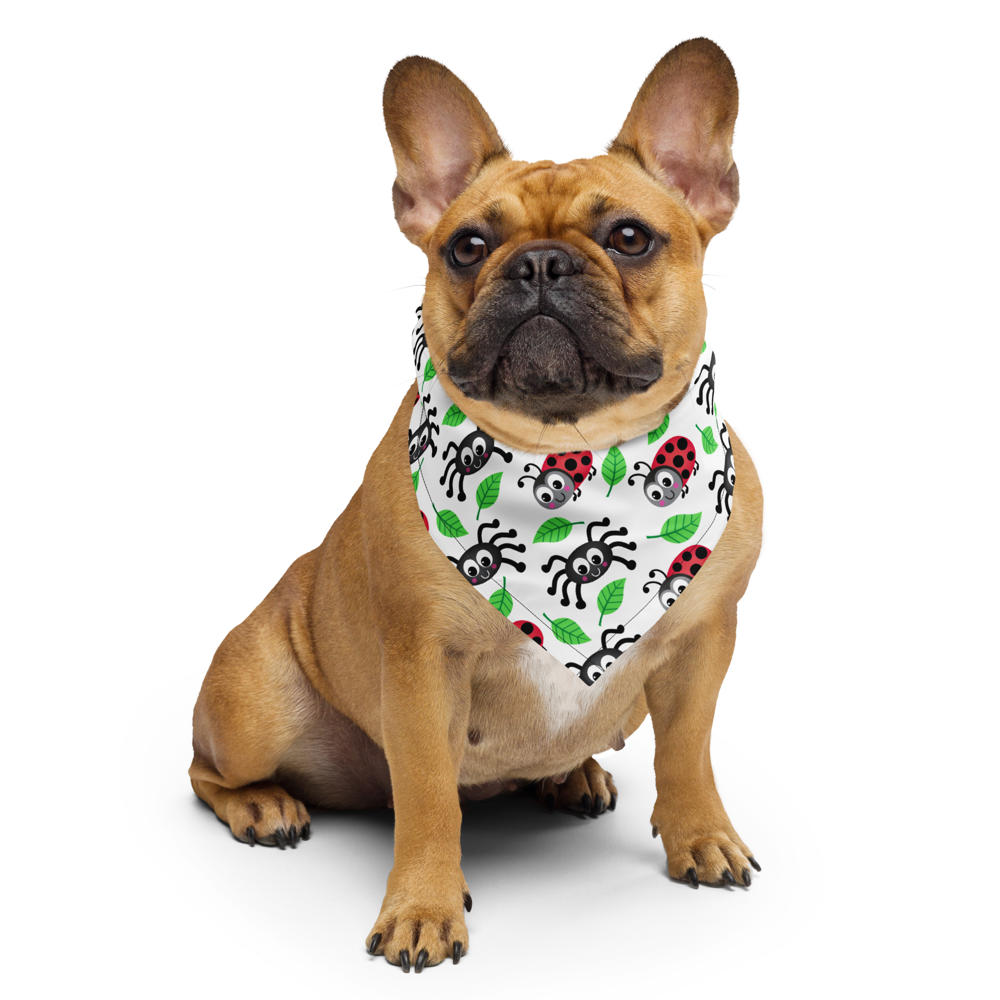 Dog Bandana - Spiders and Ladybugs