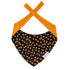 Dog Bandana - Sparkly Corn Candy