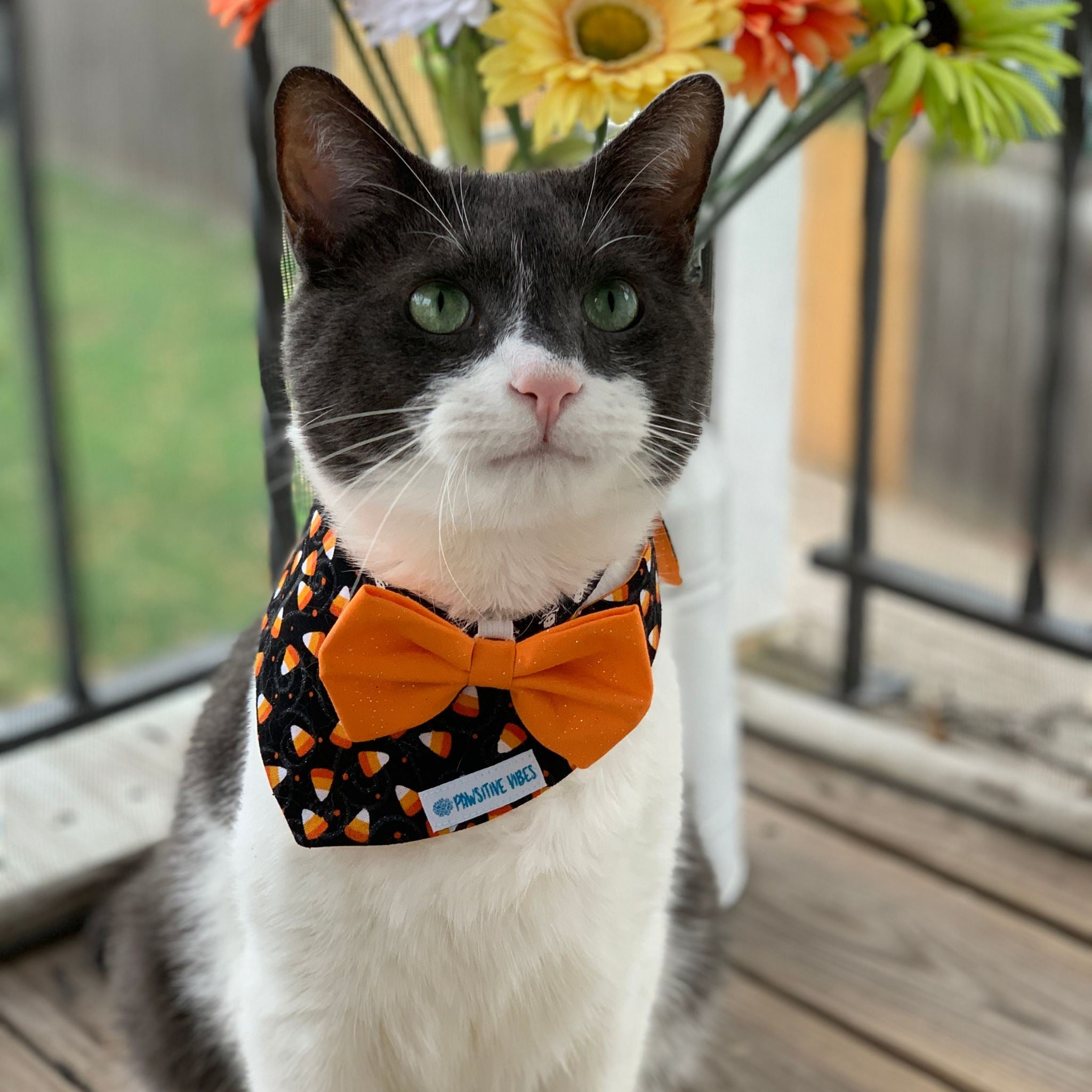 Dog Bandana - Sparkly Corn Candy