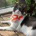 Dog Bandana - Happy Ghosts Reversible