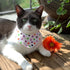 Dog Bandana - Happy Ghosts Reversible