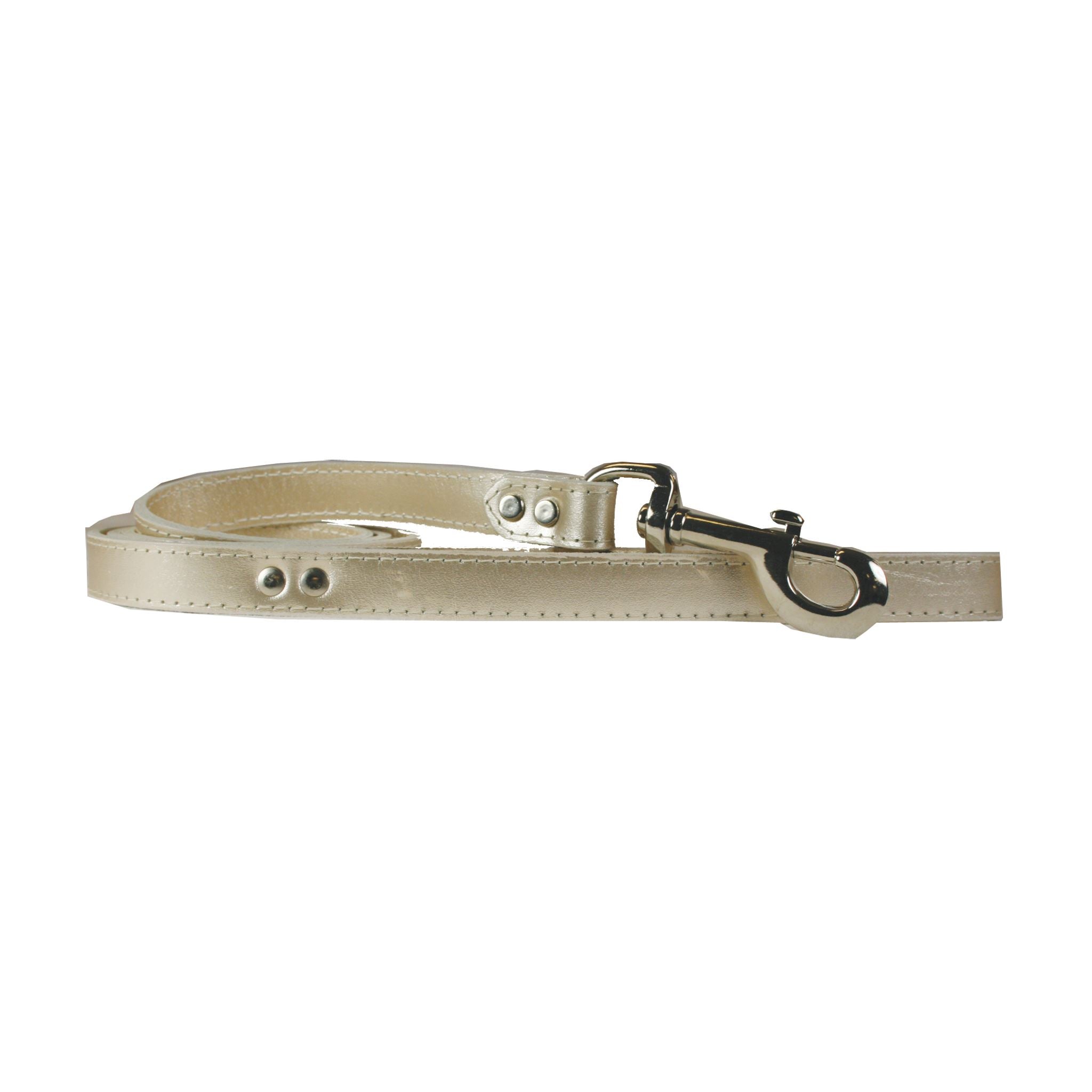 Metallic Platinum Leash Dog Leads 