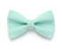 Kitten Collar - Mint Cat Collars 