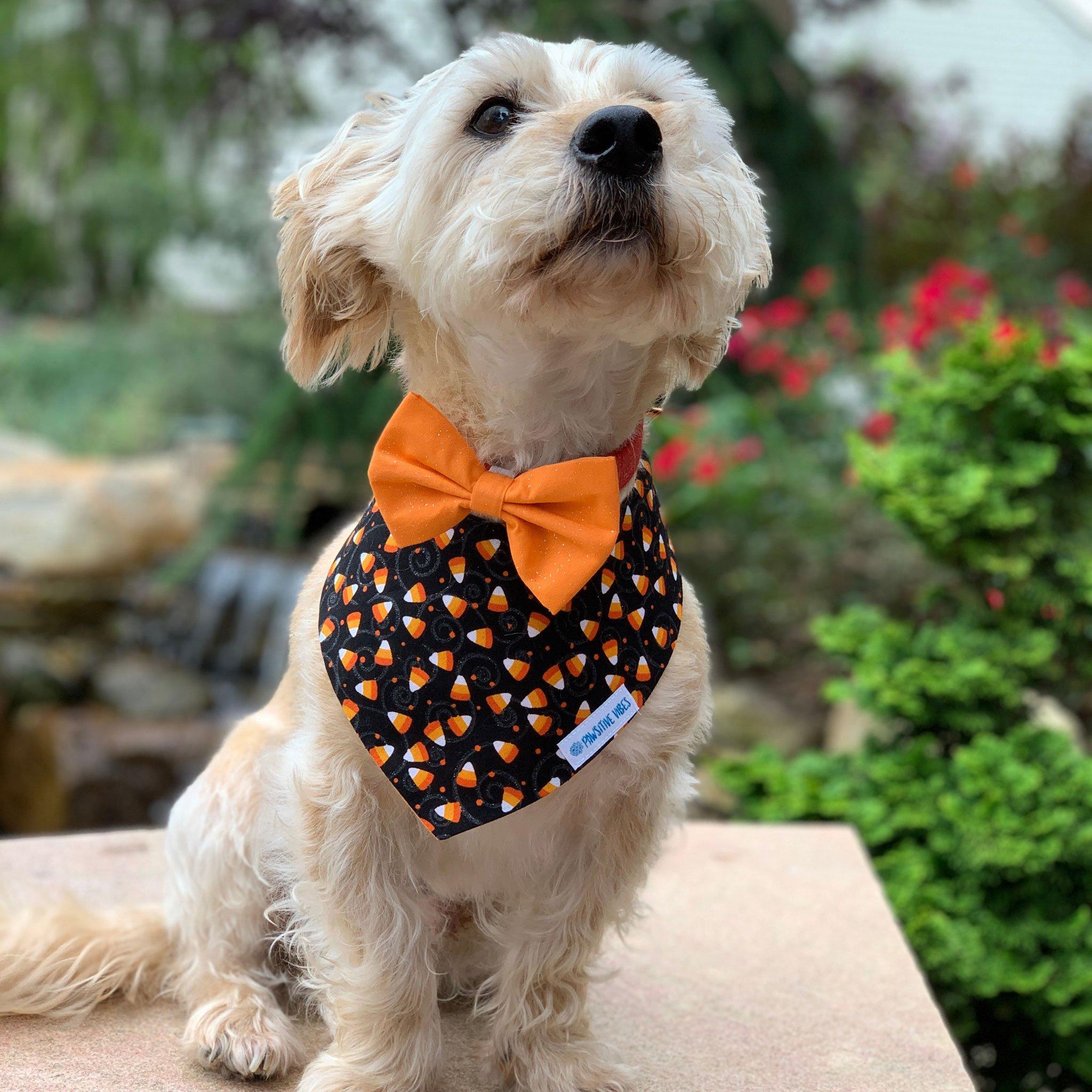 Orange Pet Bow Tie | Halloween Bow Tie for Dogs