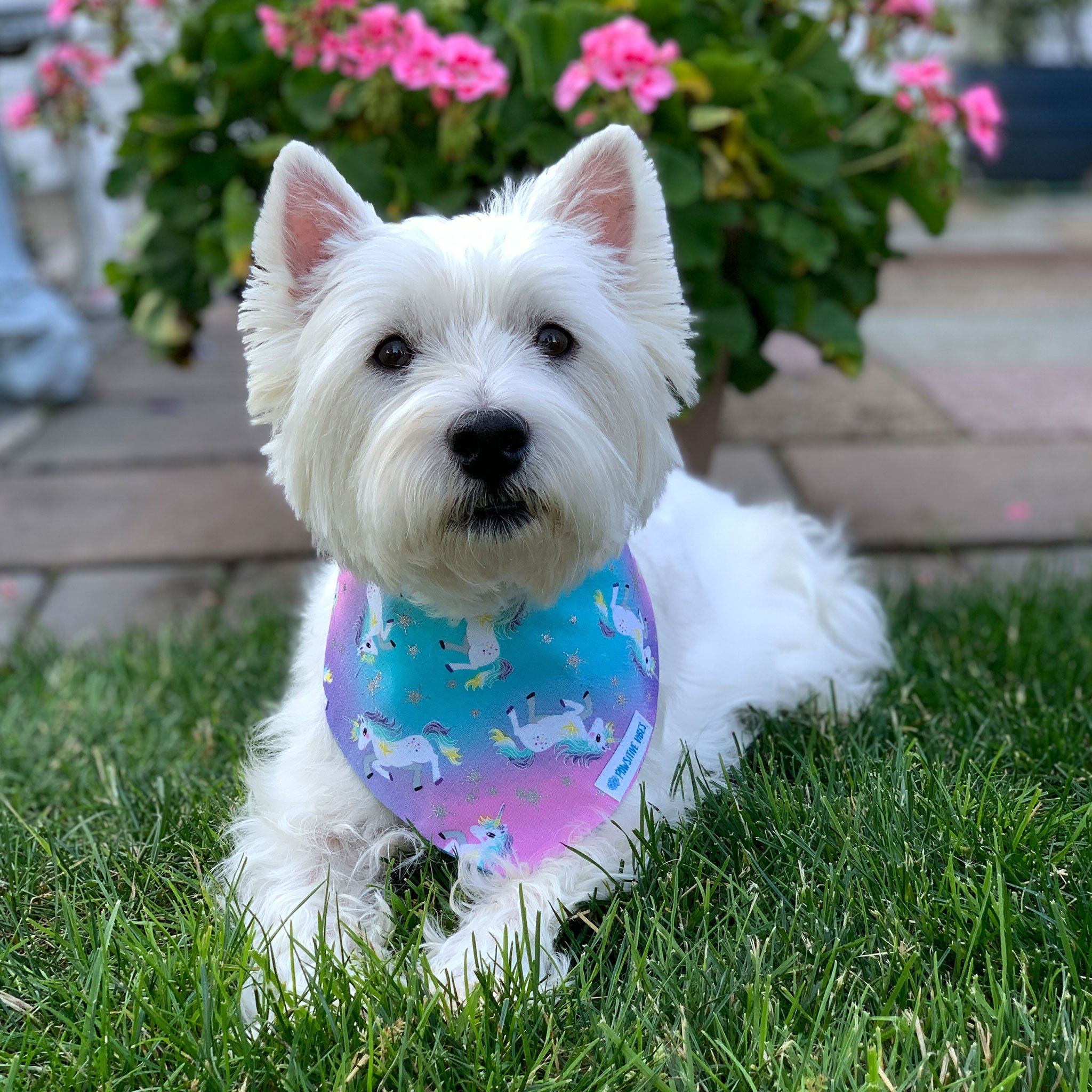 Dog Bandana - Magical Unicorns