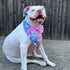 Dog Bandana - Magical Unicorns