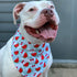 Dog Bandana - Watermelon and Cherries