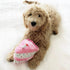 Pink Birthday Cake Dog Toy