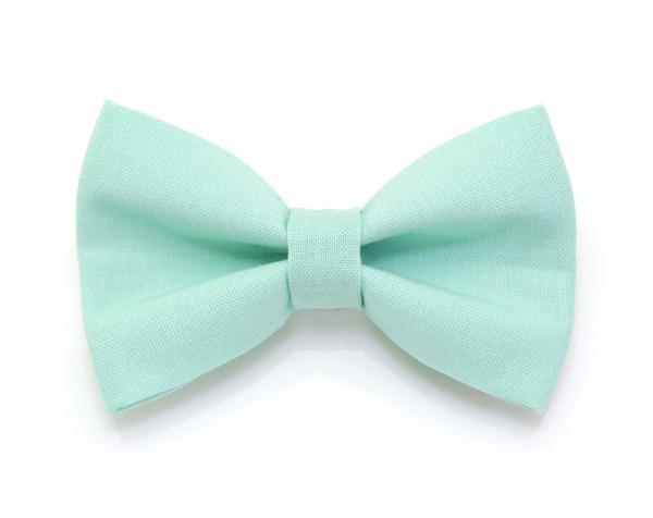 Cat Collar and Bow Tie Set - Mint Cat Collars 