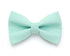 Cat Collar and Bow Tie Set - Mint Cat Collars 