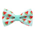 Pet Collar - Watermelon Pops Cat Collars 